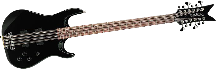 12 String Electric Bass.jpg