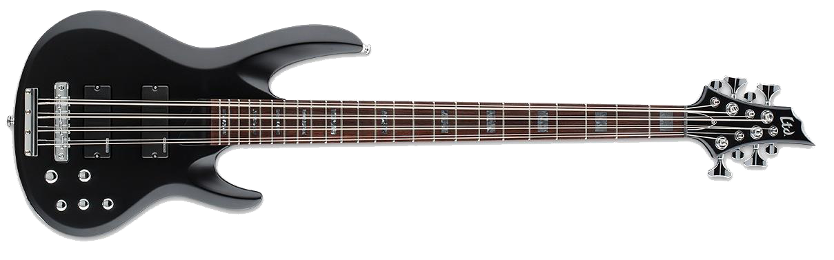 8 String Electric Bass.jpg